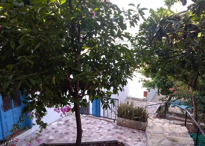 Lemon فندق كاس